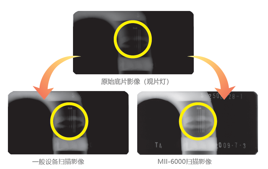 1733815745236207.png 1733815745236207.png